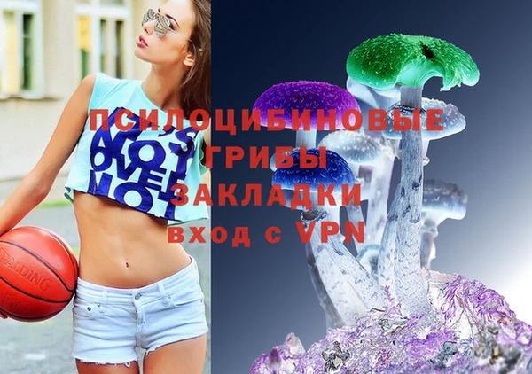 apvp Балабаново