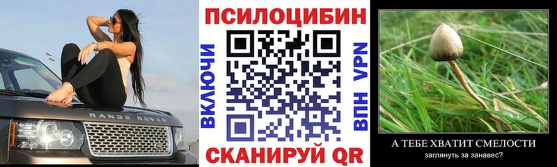 Псилоцибиновые грибы мицелий  купить   Лесозаводск 
