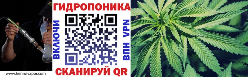Шишки марихуана Ganja  мега ссылки  Лесозаводск 